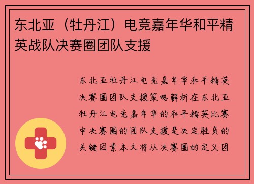 东北亚（牡丹江）电竞嘉年华和平精英战队决赛圈团队支援
